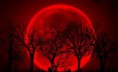/album/luna-de-sangre/f620x0-266805-266823-5-jpg/